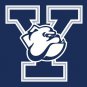Yale Bulldogs 100D Polyester Digital Printing Sleeve metal Grommets 90x150 CM
