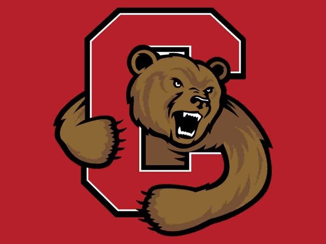Cornell Big Red Hand Flag 3*5ft Club Basketball Team flag 100D Polyester