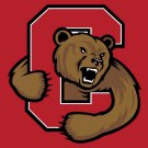 Cornell Big Red Hand Flag 3*5ft Club Basketball Team flag 100D Polyester