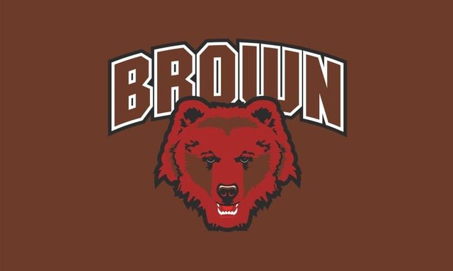 3x5ft Brown Bears flag high quality polyester 100D activities decoration