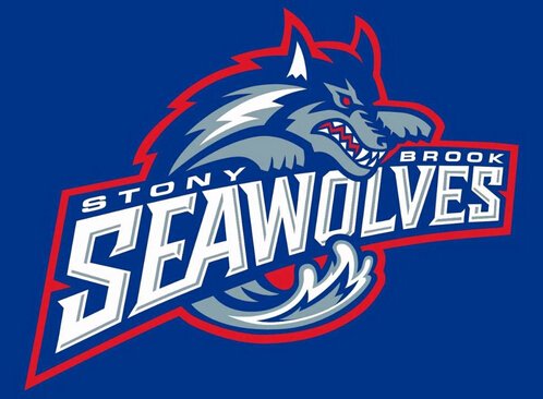 Stony Brook Seawolves flag 3ftx5ft Banner 100D Polyester Flag 2 metal ...