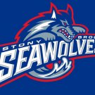 Stony Brook Seawolves flag 3ftx5ft Banner 100D Polyester Flag 2 metal Grommets