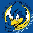 Delaware Fightin Blue Hens flag 3ftx5ft Banner 100D Polyester Flag