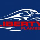 Sport Products Liberty Flames Hand Flag 3*5ft Club Basketball Team Banner