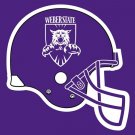 Weber State Wildcats 3x5FT Digital Printing 100D Polyester