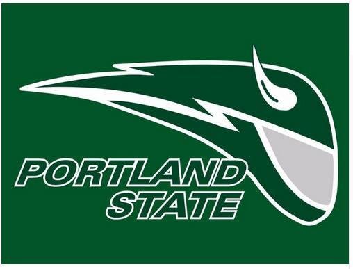 Portland State Vikings flag 3ftx5ft Banner 100D Polyester Flag metal Grommets