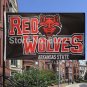 Arkansas State Red Wolves Large Outdoor Flag 3ft x 5ft  Custom flag