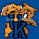 University of Kentucky Wildcats Flag 3ft x 5ft Polyester 90x150cm metal grommets
