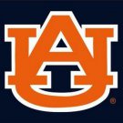 3ftx5ft US Stripes Auburn Tigers AU flag University Union Banner