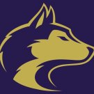 Washington Huskies sports team flag 3x5FT Digital Printing 100D Polyester
