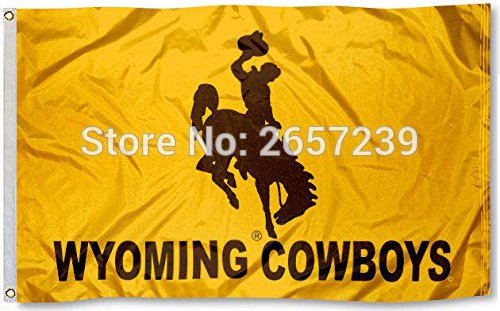Wyoming Cowboys Flag 3x5FT 100%  Polyester brass grommets custom66