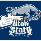 Utah State Aggies flag 3ftx5ft Banner 100D Polyester Flag metal Grommets