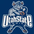 Utah State Aggies flag 3ftx5ft Banner 100D Polyester Flag 2 metal Grommetscustom