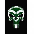 3x5 ft Colorado State Rams flag USA flag 100D Polyester free shipping activities