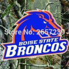 Boise State Broncos Real Tree Camo Flag 3x5FT Polyester brass grommets custom66