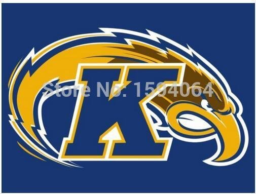Kent State Golden Flashes flag 3ftx5ft Banner 100D Polyester Flag metal Grommets