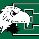 Eastern Michigan Eagles Flag 3x5ft Club Basketball Team flag 100D Polyester