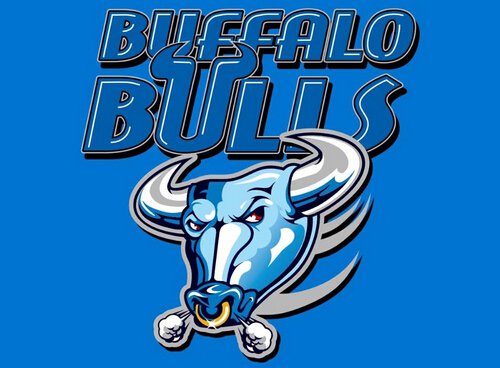 Buffalo Bulls flag 3ftx5ft Banner 100D Polyester Flag 2 metal Grommets custom