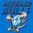 Buffalo Bulls flag 3ftx5ft Banner 100D Polyester Flag 2 metal Grommets custom