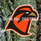 Bowling Green State Falcons BGSU Flag  3X5FT 100D Polyester grommets custom009
