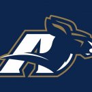 Akron Zips Logo Hand Flag 3ftx5ft Team Banner 100D Polyester  Flag 3x5 FT