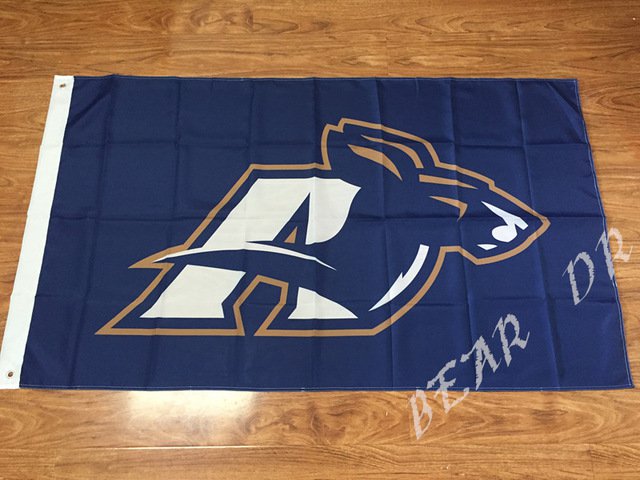 Akron Zips flag 3ftx5ft Banner 100D Polyester Flag 2 metal Grommetscustom