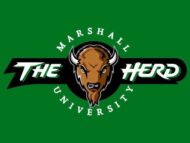 Marshall Thundering Herd Hand Flag 3x5 ft Club Team Banner 100D Polyester