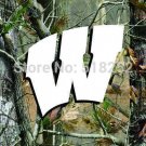 Wisconsin Badgers camo background Flag Polyester 3x5FT Banner 100D Custom flag