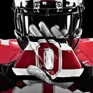 Flag Polyester Flag of the  Ohio State Buckeyes Ohio State flag 3x5 FT