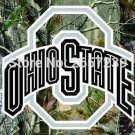 Ohio State Buckeyes Real Tree Camo Flag 3x5 FT Polyester brass grommets custom