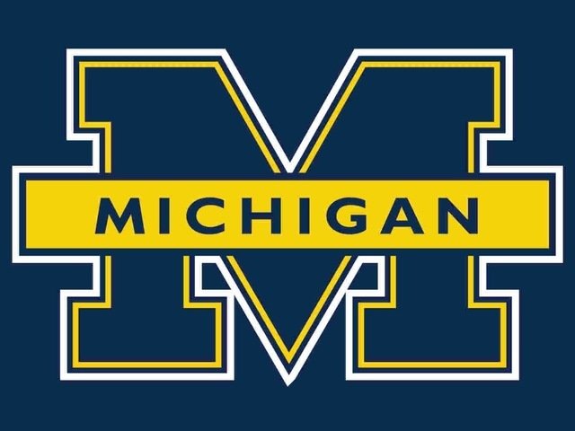 Michigan Wolverines Logo Hand Flag 3x5 FT CM Club Team Banner 100D Polyester