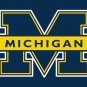 Michigan Wolverines Logo Hand Flag 3x5 FT CM Club Team Banner 100D Polyester