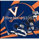 Virginia Cavaliers Team Logo 3x5 ft  Flag With Grommets - Helmet Design