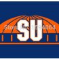 Syracuse Orange flag 3ftx5ft Banner 100D Polyester Flag metal Grommets