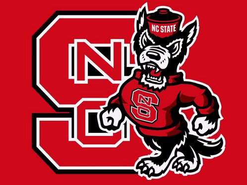 North Carolina State Wolfpack flag 3ftx5ft Polyester Flag metal Grommets custom