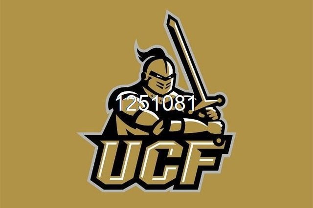 Central Florida Golden Knights Flag 3ft x 5ft Polyester  Banner UCF Flying