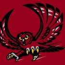 Temple Owls flag 90*150 CM Digital Printing 100D Polyester with sleeve two metal