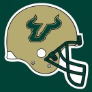 South Florida Bulls Digital Printing sports team colorful flag 3x5FT