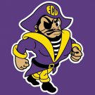 East Carolina Pirates flag 3ftx5ft Banner 100D Polyester Flag metal Grommets