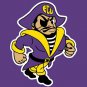 East Carolina Pirates flag 3ftx5ft Banner 100D Polyester Flag metal Grommets