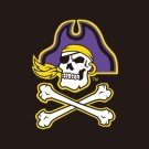East Carolina Pirates University Flag 3x5FT Polyester brass grommets custom66