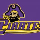 EFlag East Carolina Pirates Flag 3x5ft Club Basketball Team flag 100D Polyester
