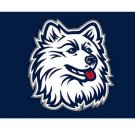 3x5ft Connecticut Huskies banner customized shipping 90x150cm 100D high-quality