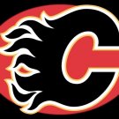 Calgary Flames Flag 3x5 FT 100D Polyester Banner flag 1133, free shipping