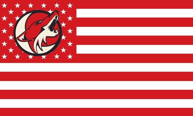 Phoenix Coyotes Flag 3x5 FT stars and stripes Polyester Arizona Coyotes ...