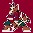 Phoenix Coyotes Flag 3x5 FT 150X90CM Banner Polyester Arizona Coyotes flag