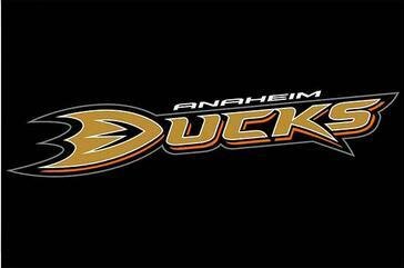Anaheim Ducks Flag 3ft x 5ft Polyester Banner with 2 Metal Grommets
