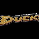 Anaheim Ducks Flag 3ft x 5ft Polyester Banner with 2 Metal Grommets