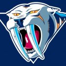 Flags Polyester 150X90 CM  Nashville Predators Banner 3x5FT 100D Client Markings