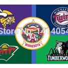 Minnesota State Vikings Twins Wild Flag 3x5 FT  100D Polyester flag grommets 009